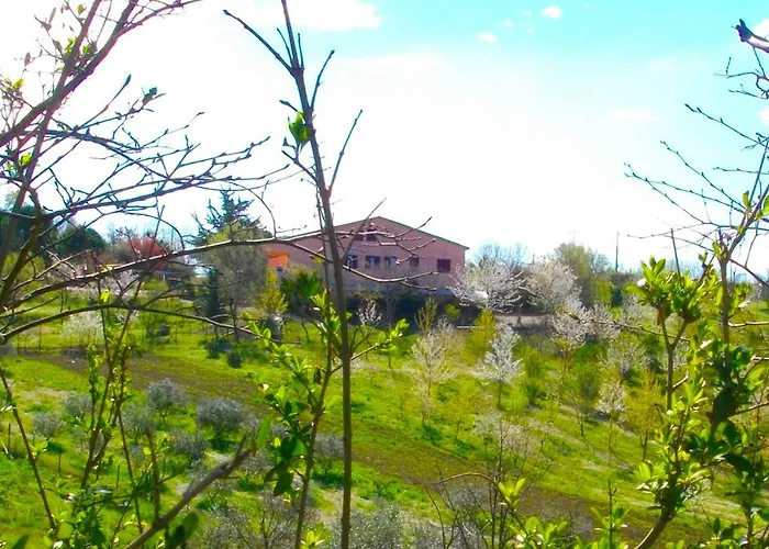 Il Rifugio Dell'ape Senigallia
