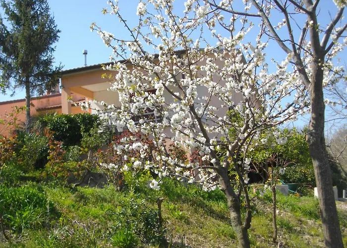 Il Rifugio Dell'ape Bed & Breakfast Senigallia