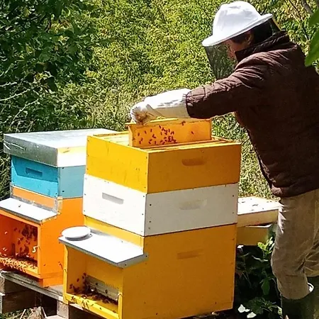 Il Rifugio Dell'ape Alojamento de Acomodação e Pequeno-almoço