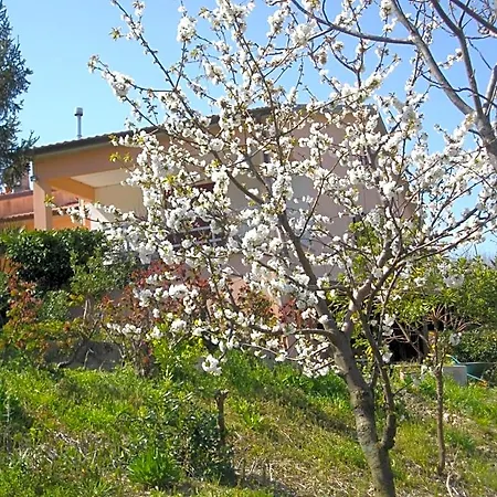 Il Rifugio Dell'ape Senigallia