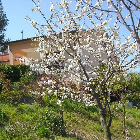 Il Rifugio Dell'Ape Agriturismo Bed & Breakfast Senigallia
