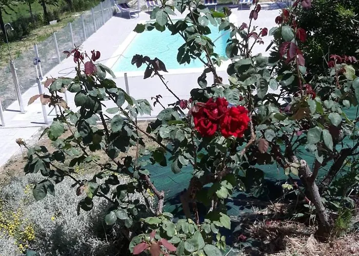 Il Rifugio Dell'ape 4*